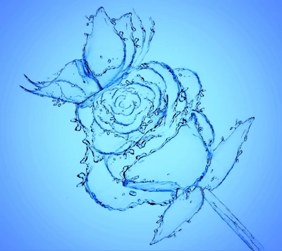 blue, butterfly, drops, flower, rose