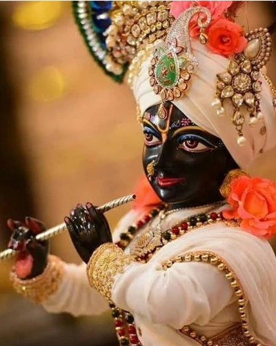 krishna, señor krishna, lord krishna