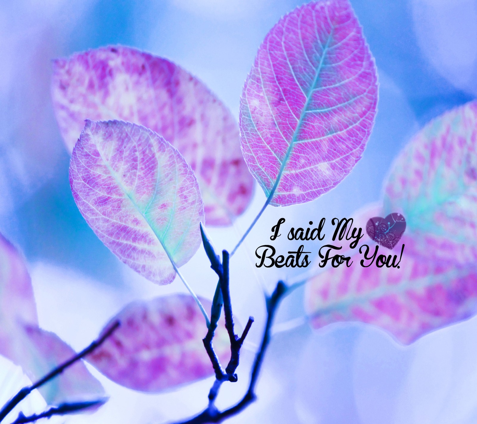 Purple leaves with a heart on them with a quote on the back (abstract, black, blue, cool, leaves)