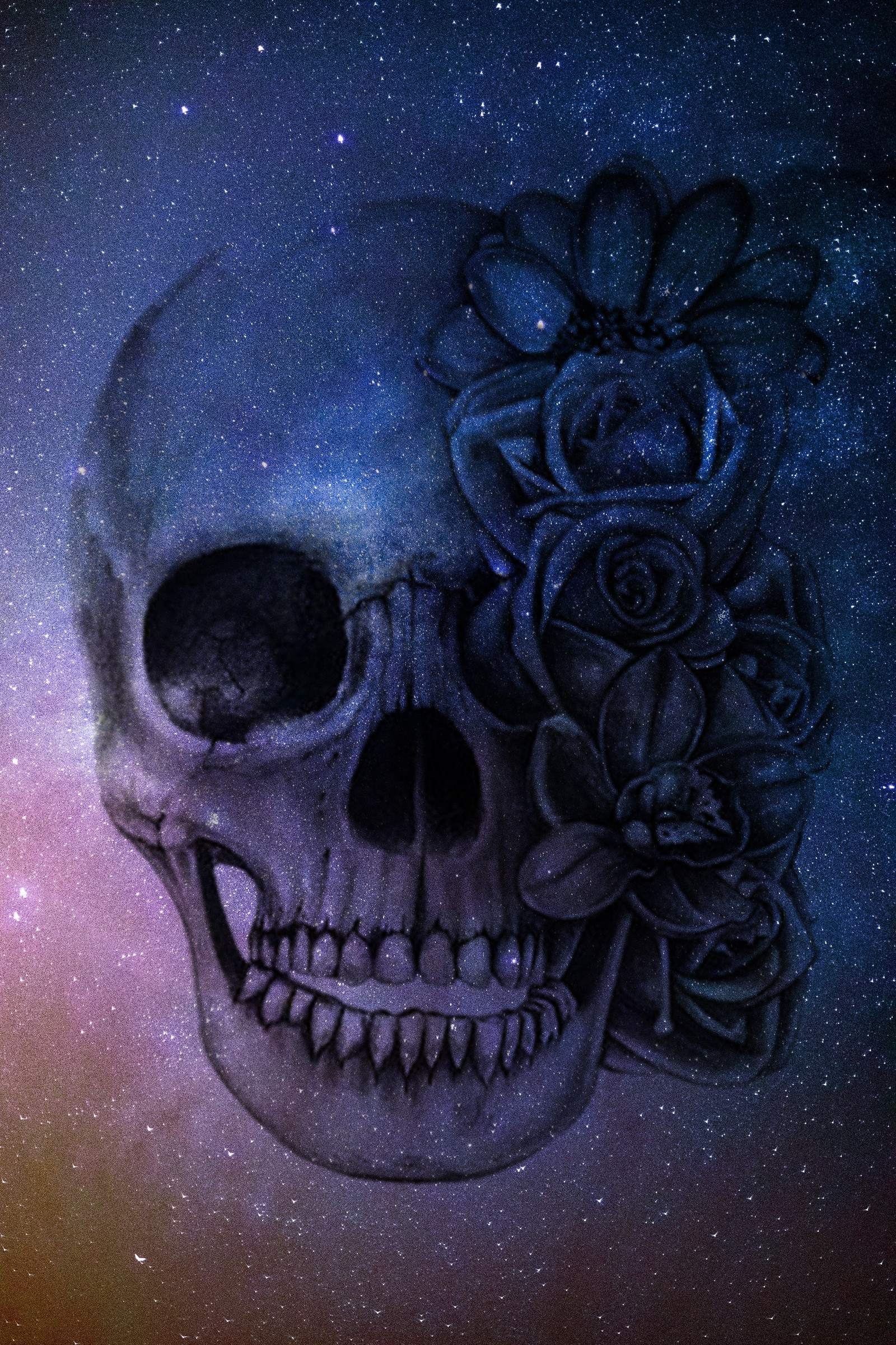 Skull with roses on it's forehead in the middle of a galaxy (roses, skull)