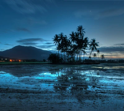 Paisaje malayo tranquilo al anochecer con reflejos y palmeras