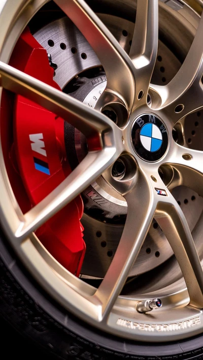 Close-Up of BMW M2 Rims and High-Performance Brakes