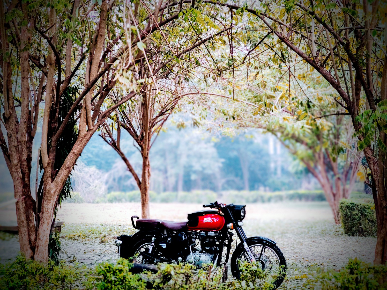 There is a motorcycle parked in the middle of a field (beautiful, bike, bikes, black, nature)