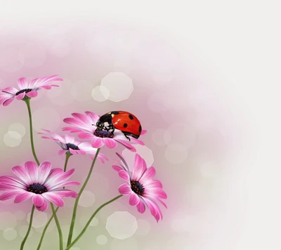 Delicate Pink Flowers with a Ladybug