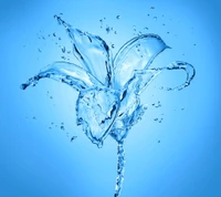 blue, drops, flower, splash, water