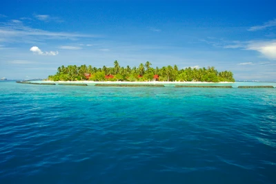 Paraíso tropical: uma ilhota serena cercada por águas cristalinas e vegetação exuberante, perfeita para uma escapada idílica.