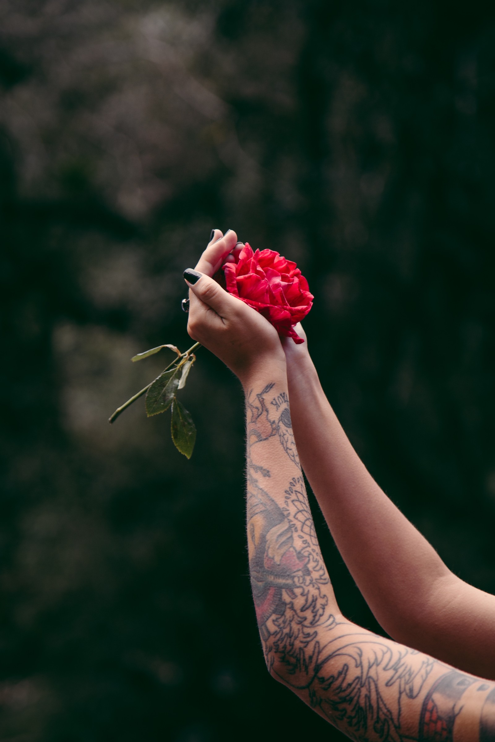 tattoo, sleeve tattoo, red, beauty, arm wallpaper