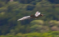 Avion de chasse en action : Lockheed Martin F-22 Raptor décollant