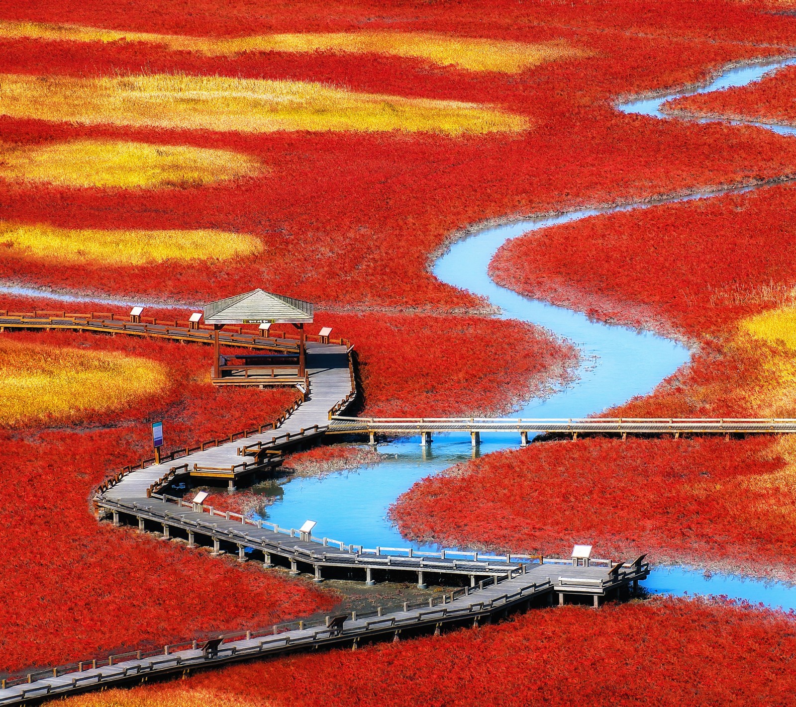 There is a wooden bridge that is over a river in the red grass (google pixel, pixel, chromebook, red, colorfulness)