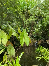 Floresta ripária exuberante refletindo vegetação vibrante e um lago tranquilo.