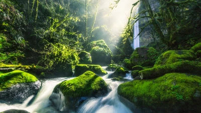 multnomah falls, columbia river, waterfall, water, water resources