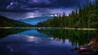 Reflejo del bosque tranquilo: un río sereno rodeado de pinos y majestuosas montañas