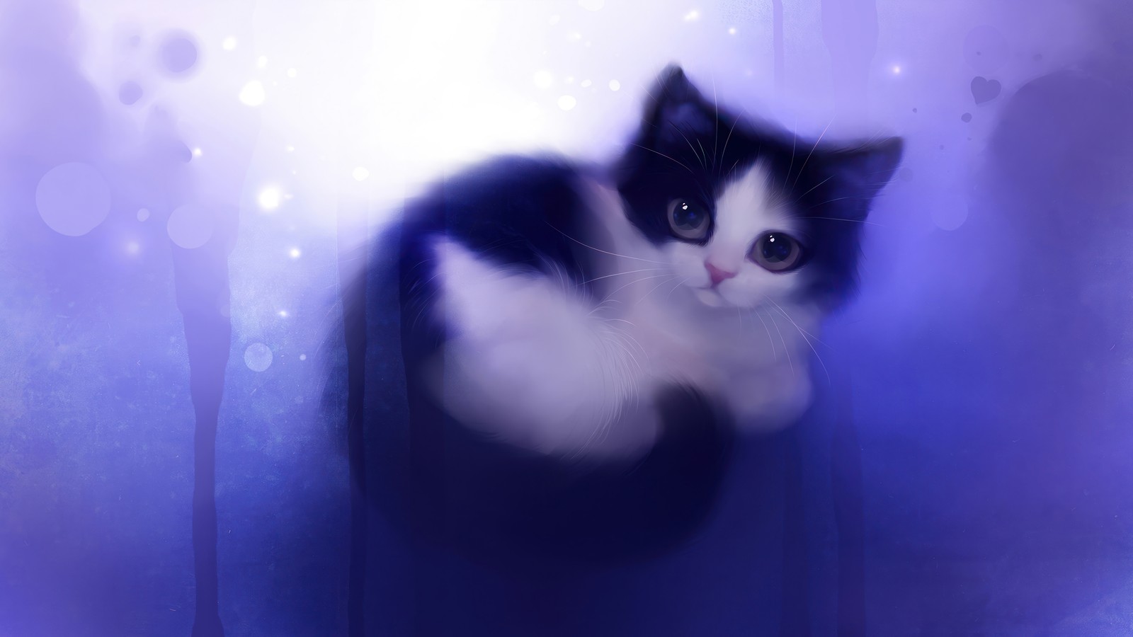 Um gato preto e branco sentado em uma superfície azul (fofo, gato, arte digital, animal)