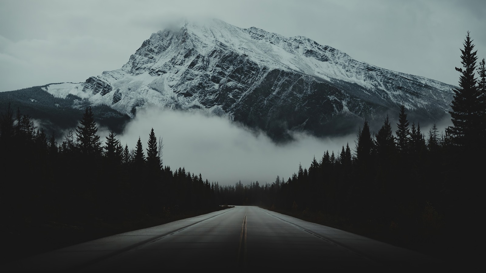 Une vue d'une montagne avec une route qui la traverse (route, forêt, montagne, brume, paysage)