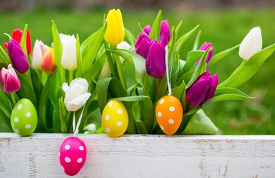 lapin de pâques, œuf de pâques, tulipe, vacances, fleur