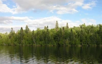 cuerpo de agua, naturaleza, árbol, agua, desierto