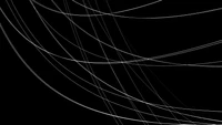 black, line, monochrome, darkness, spider web wallpaper