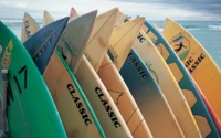 Colorful surfboards lined up against a backdrop of cloudy skies, showcasing vibrant patterns and classic branding.