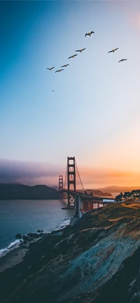 Golden Gate Bridge bei Dämmerung mit einem Schwarm Vögel über der Bucht von San Francisco.