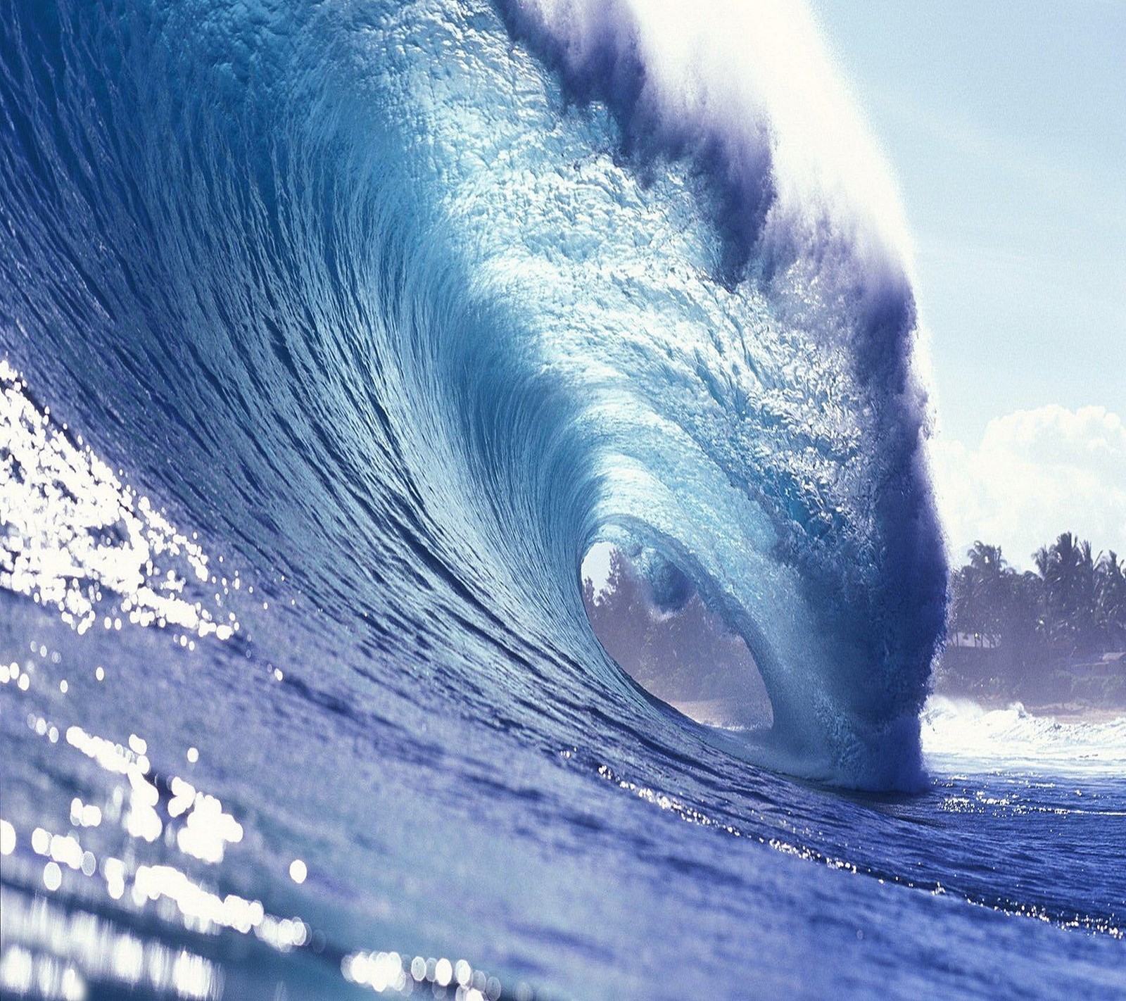 Un surfeur chevauchant une grande vague dans l'océan par une journée ensoleillée (océan, vague)