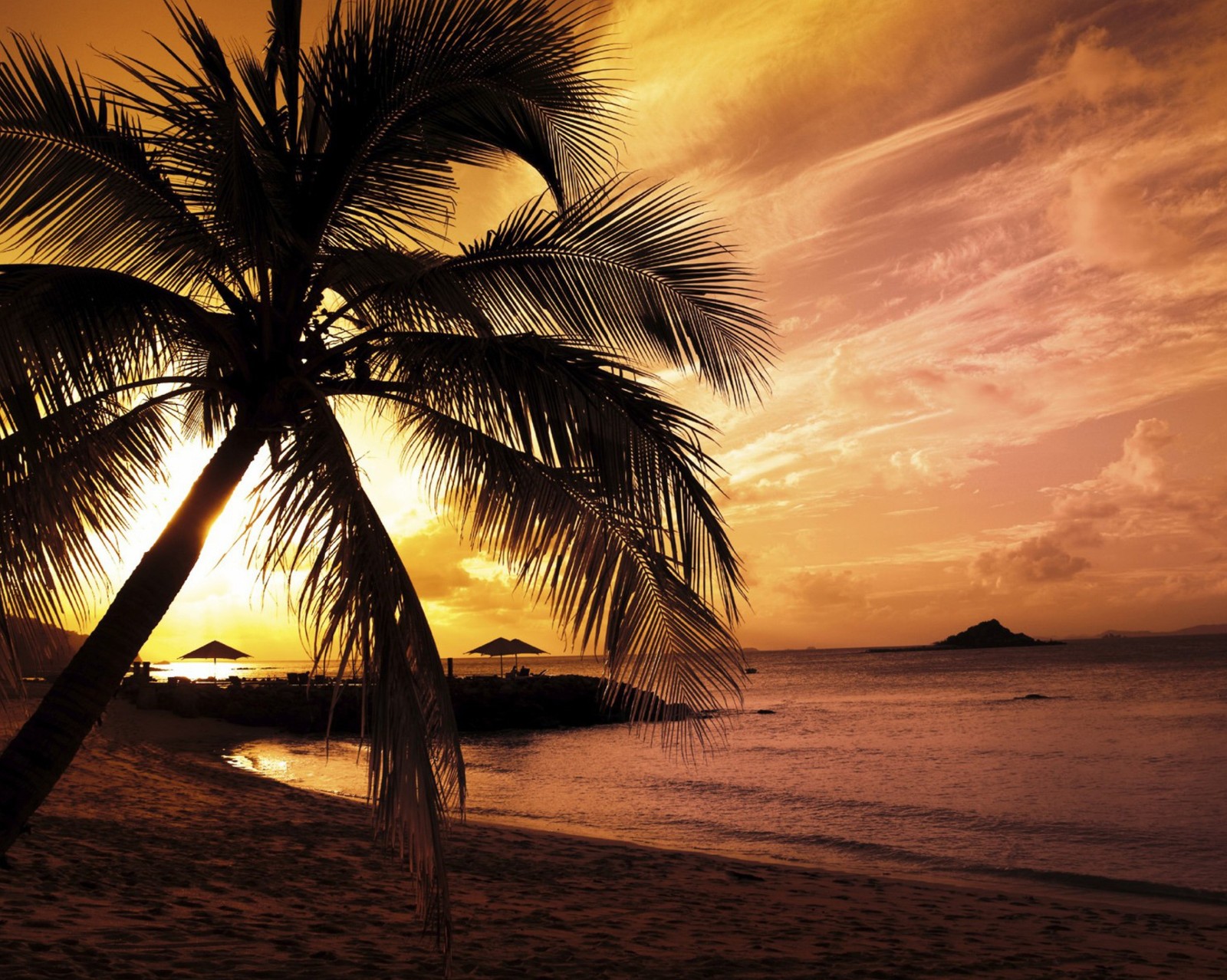 Una palmera borrosa en la playa al atardecer con el sol poniéndose (paisaje, naturaleza, playa del atardecer)