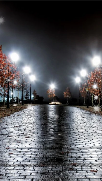 autumn, lights, night, stone, street