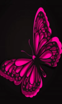 Vibrant Pink Butterfly on Black Background