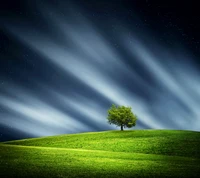 Árbol solitario en un paisaje verde exuberante bajo un cielo estrellado