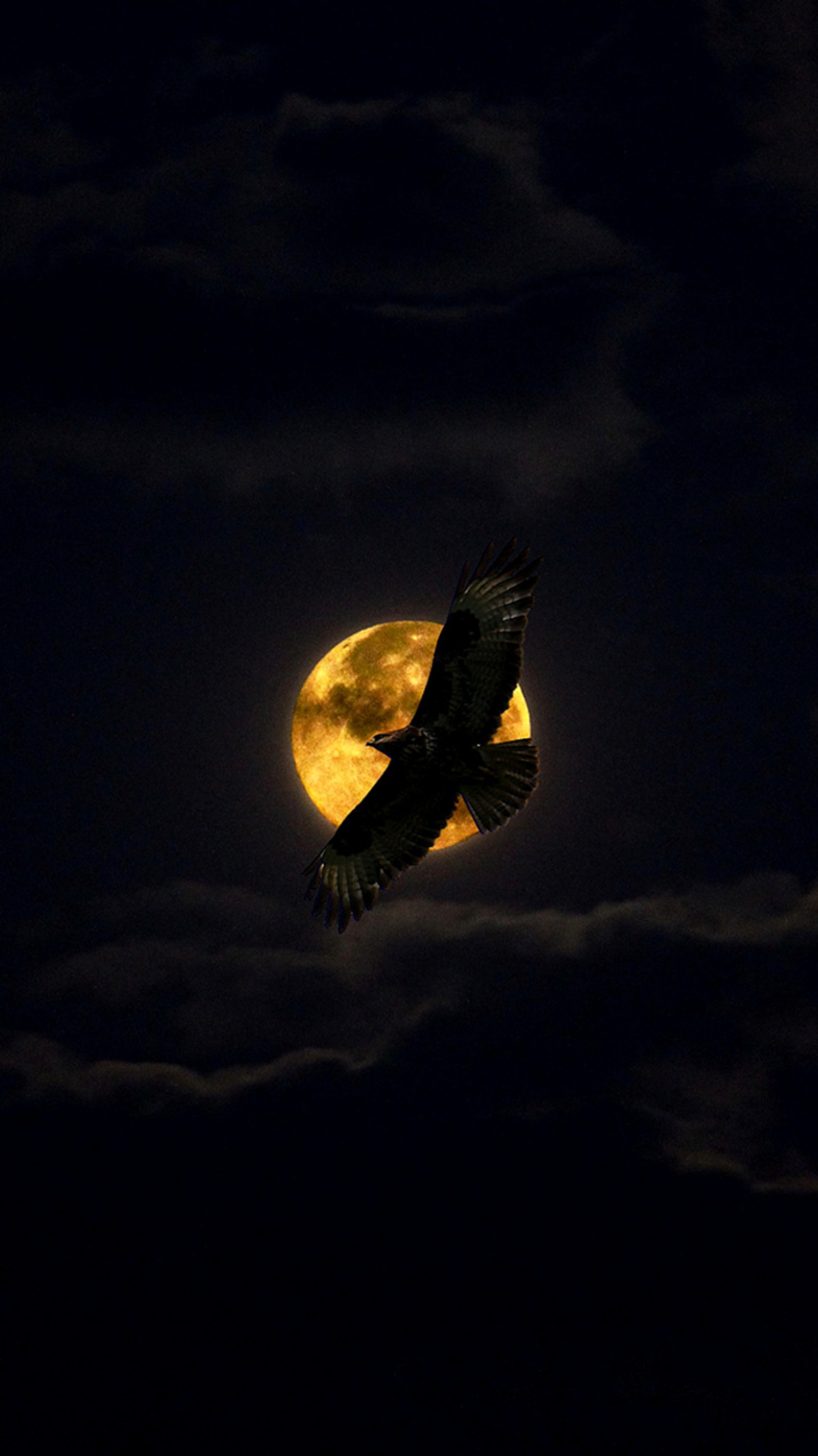 Un dragon volant dans le ciel nocturne avec une pleine lune derrière (aigle, minuit)