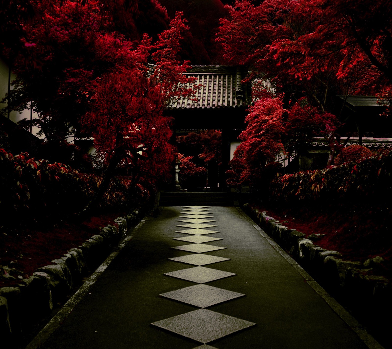 Vista árabe de uma passarela com uma árvore vermelha ao fundo (ásia, japão, japonês, pagode, palácio)