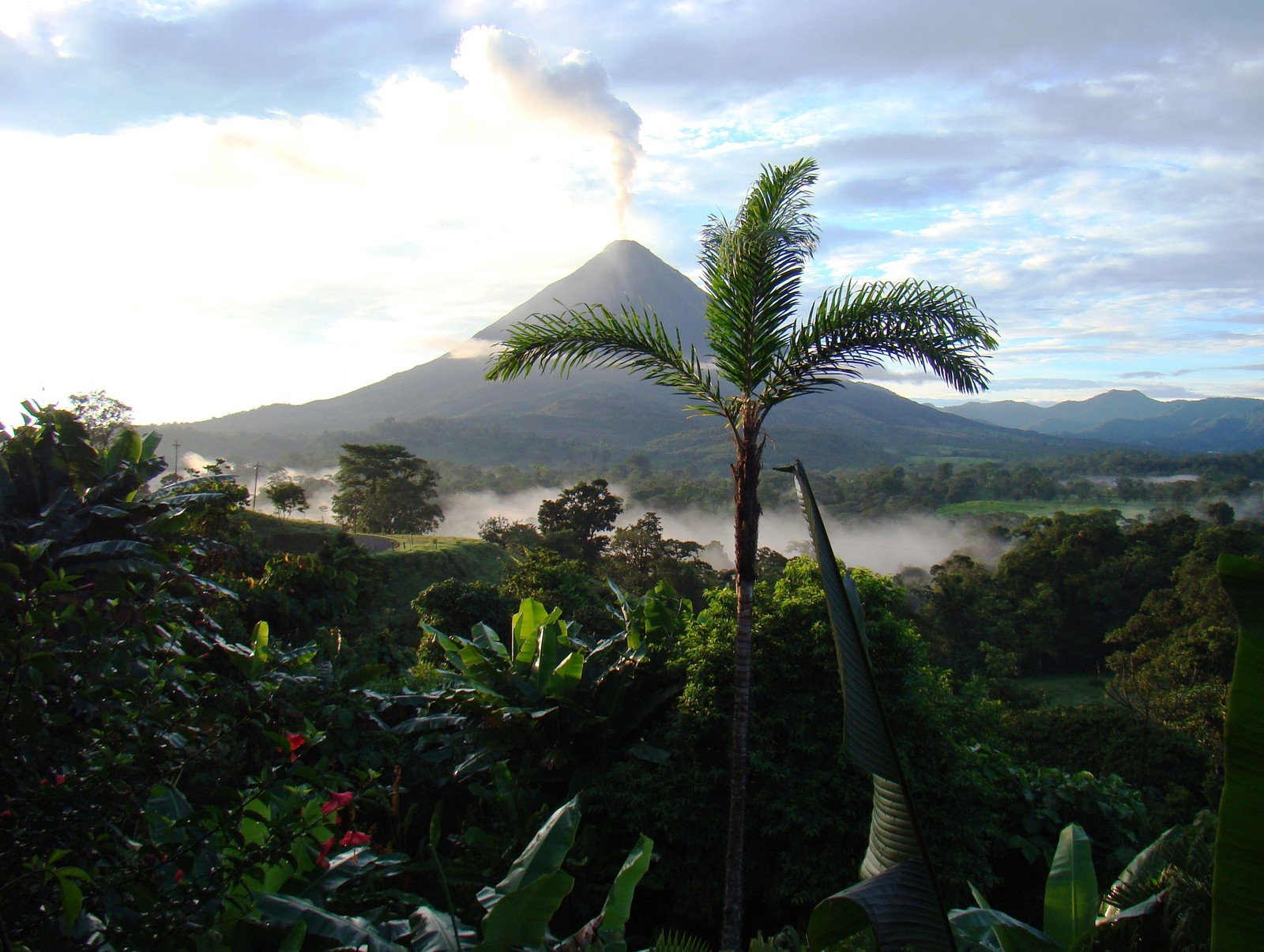 Une vue arabe d'une montagne avec un palmier au premier plan (volcan arenal, voyage, végétation, arbre, palmier)