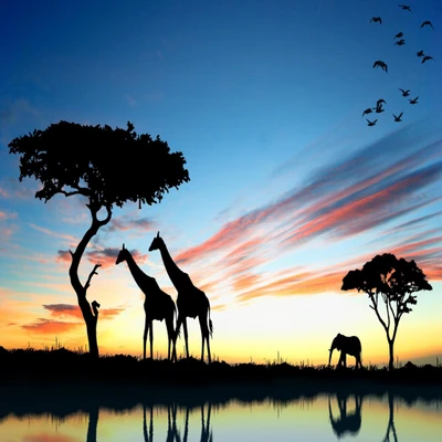 Des arbres et des animaux en silhouette contre un ciel de coucher de soleil serein.