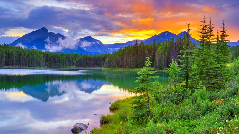 Красивый вид на горное озеро с горой на заднем плане (банф, banff, озеро морейн, озеро два джека, парк)