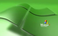 Logotipo do Microsoft Windows XP Home Edition em fundo verde vibrante