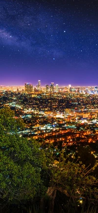 Paisaje urbano al anochecer: Rascacielos de Los Ángeles bajo un cielo estrellado