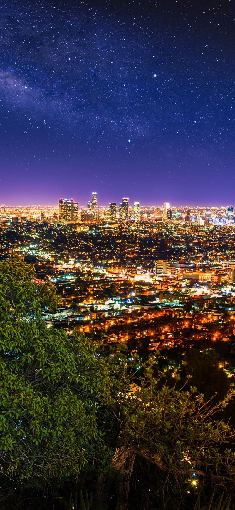 Ночной вид города с холма с видом на город (лос анджелес, los angeles, здание, небоскреб, атмосфера)