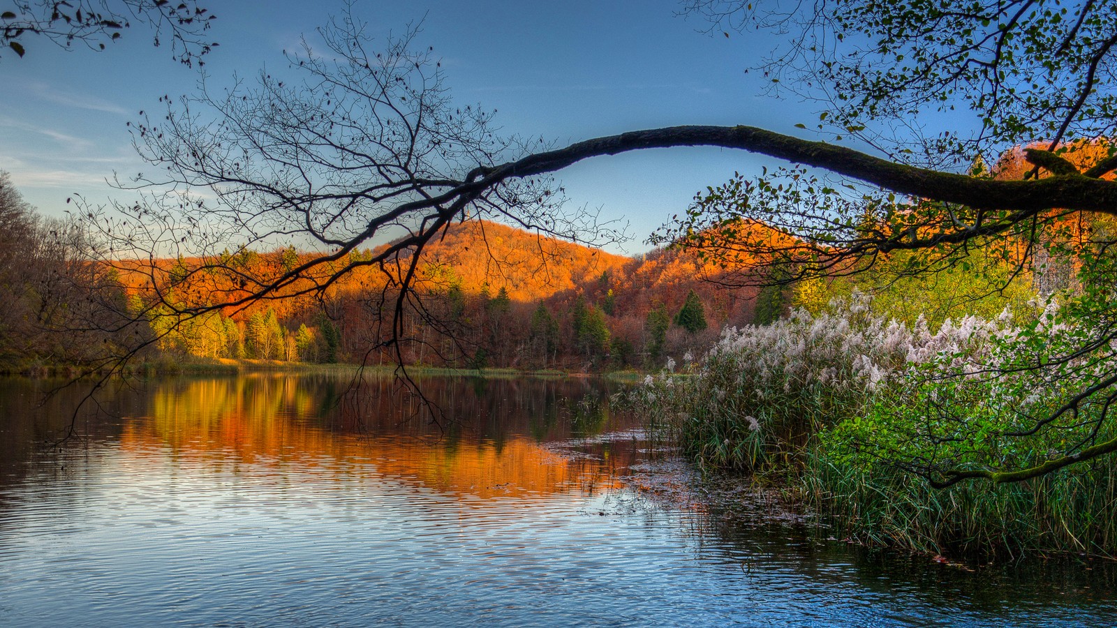 Uma vista de um lago com árvores e montanhas ao fundo (natureza, reflexo, árvore, água, folha)