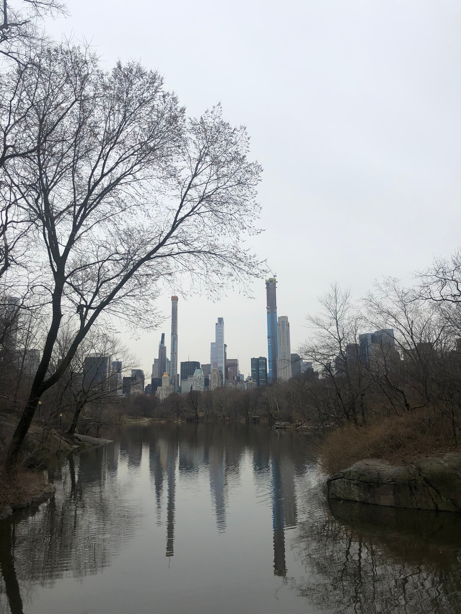 Trees are reflected in the water of a lake in a city park (central park, empire state building, branch, reflection, waterway)