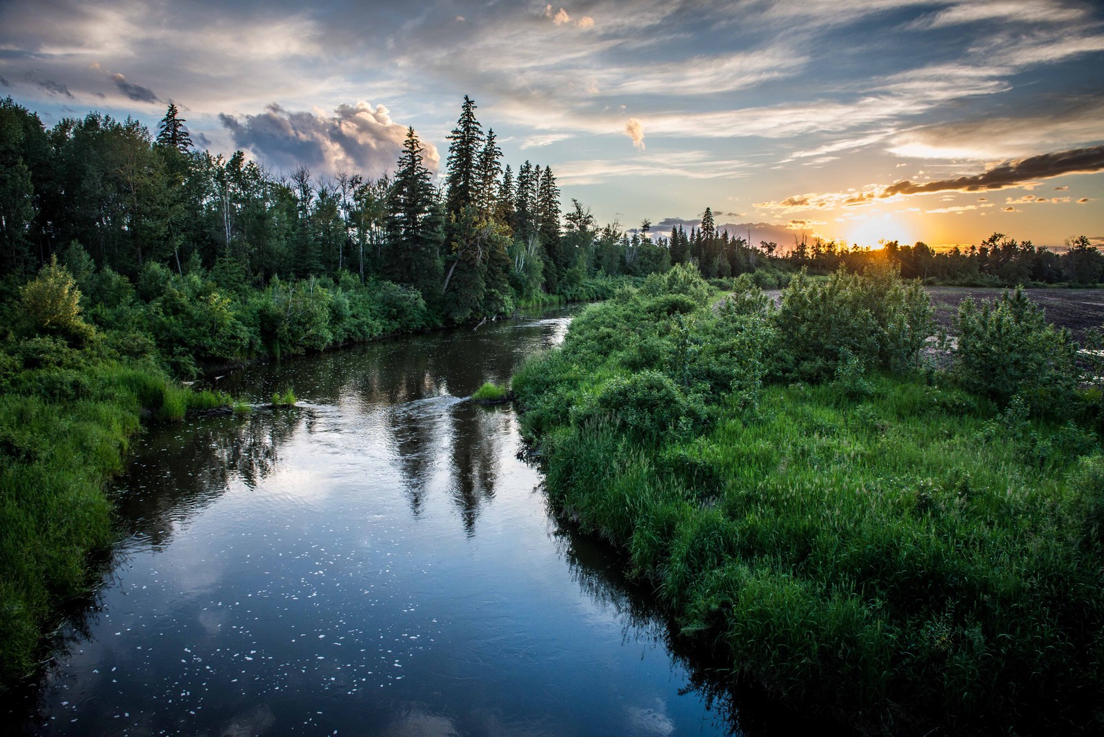 Uma vista de um rio correndo através de uma floresta verde e densa (natureza, reflexo, água, flúmen, via navegável)