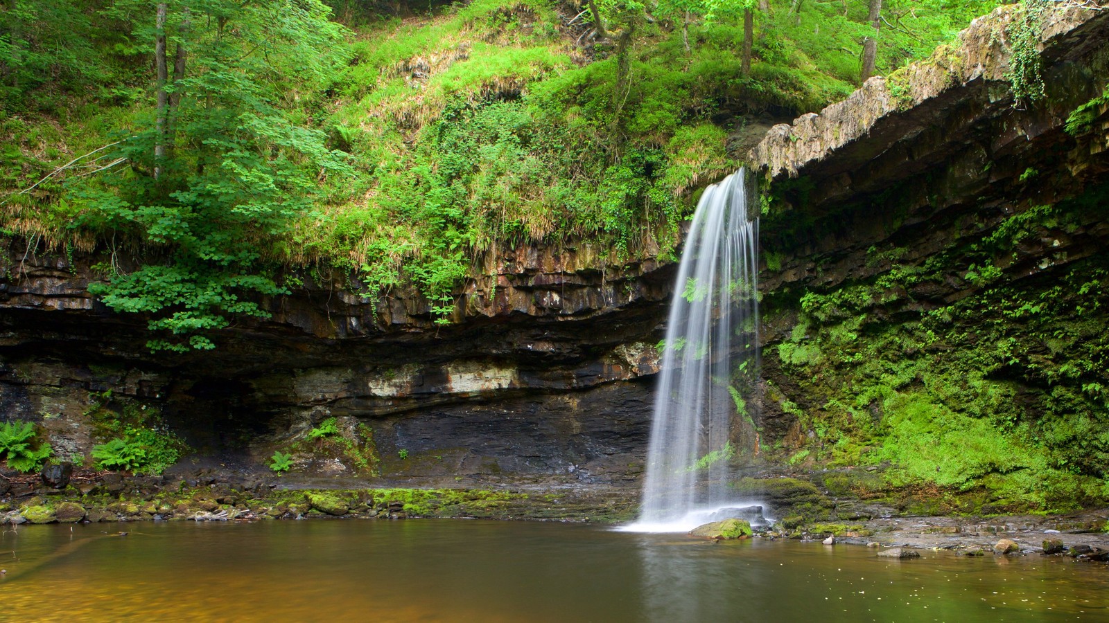 Vue d'une cascade dans une forêt avec une petite cascade (la cascade, parc, plan deau, ressources en eau, nature)