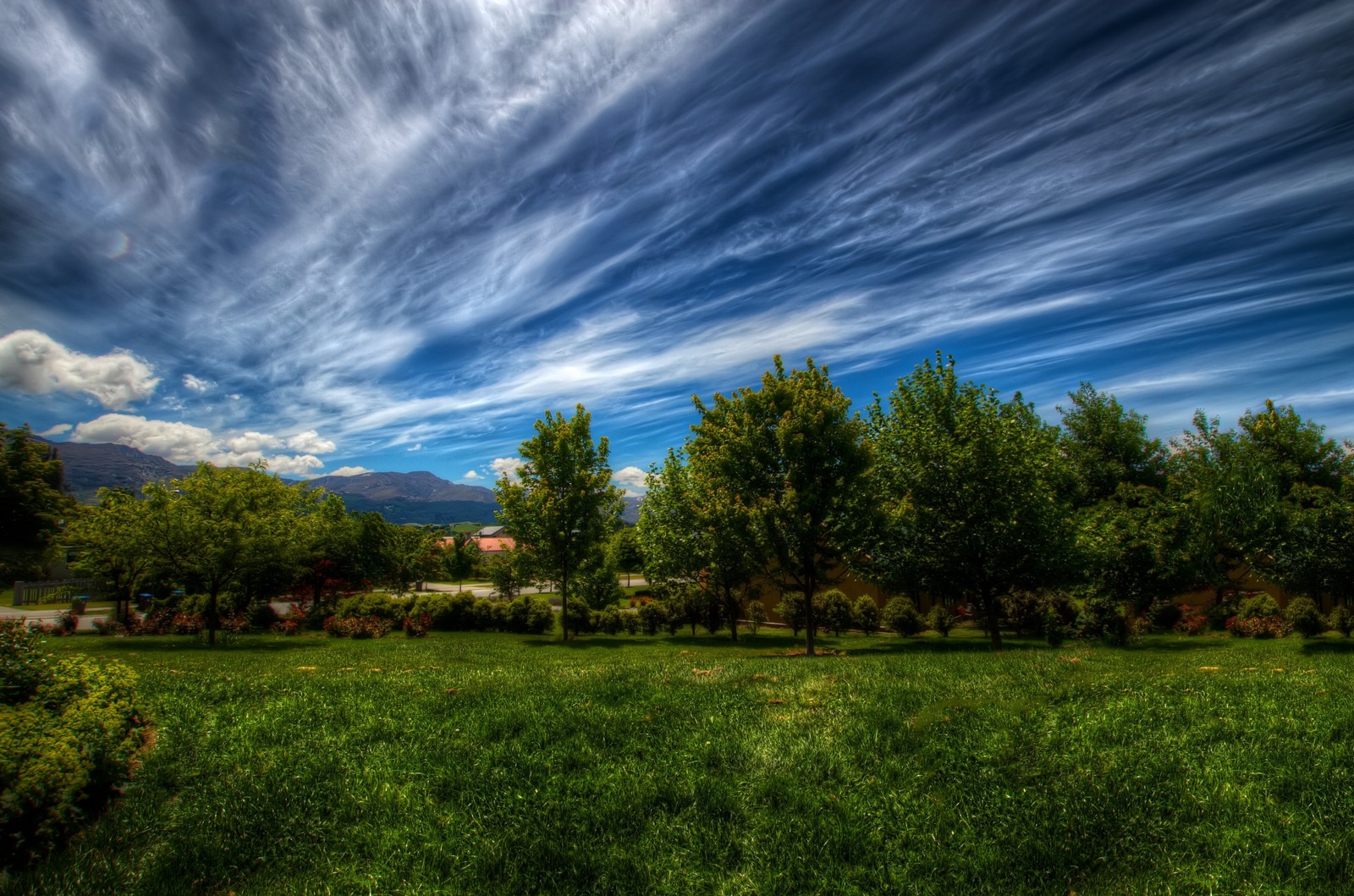 A view of a field with trees and a sky with clouds (nature, cloud, tree, grass, grassland)