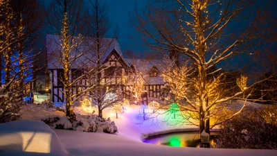 Un paysage d'hiver magnifiquement illuminé avec une charmante maison ornée de décorations de Noël festives, entourée d'arbres couverts de neige et de lumières scintillantes, créant une atmosphère de vacances sereine.