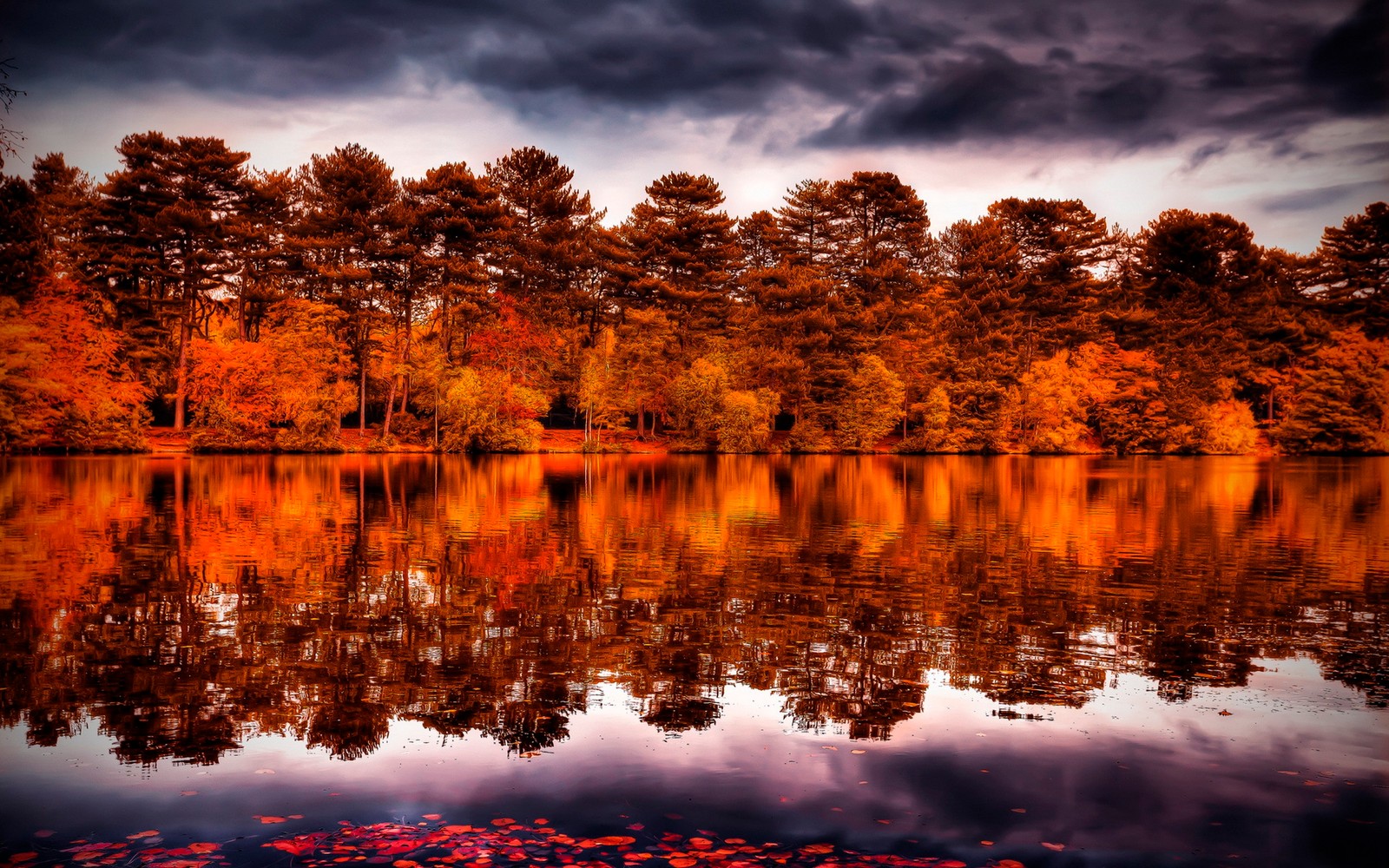 Vista de um lago com muita água e árvores (reflexo, natureza, água, árvore, lago)