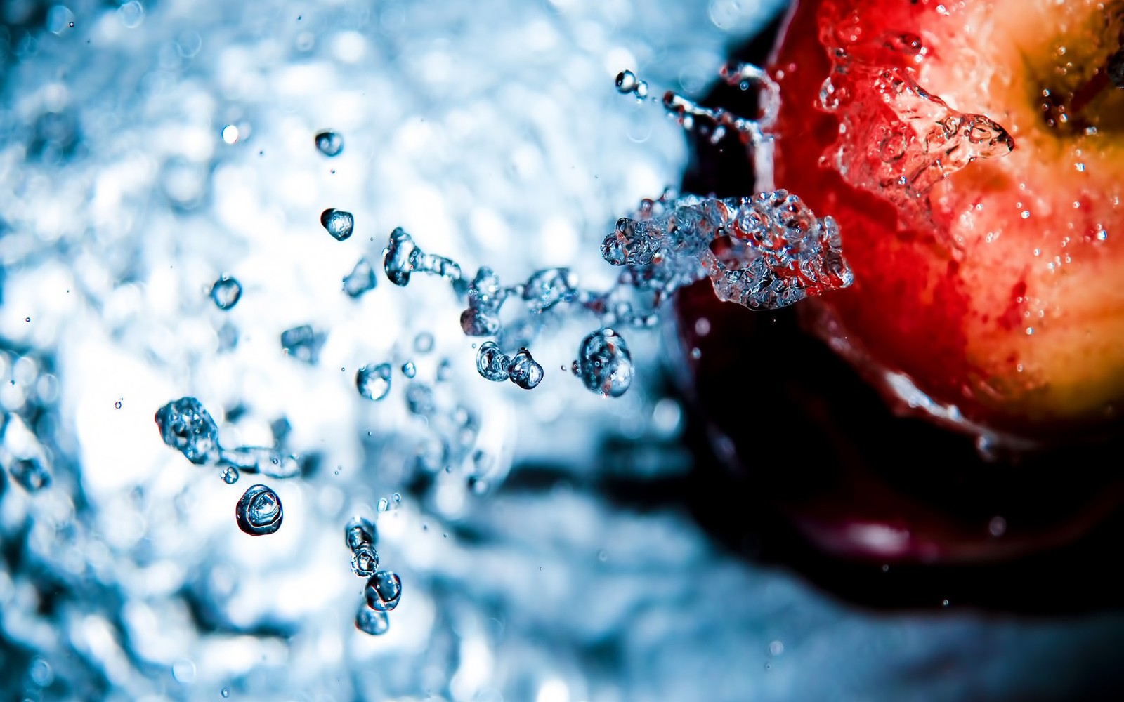 water, drop, moisture, liquid bubble, macro wallpaper