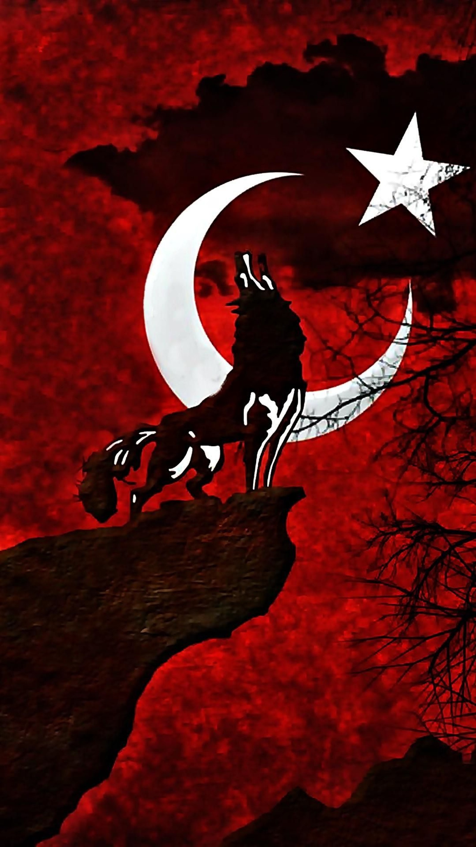 Araffe howling at the moon with a star and crescent (turk, turkiye)