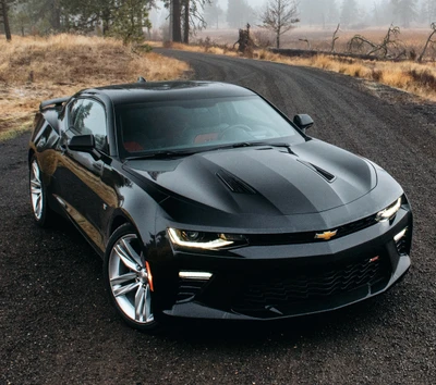 camaro, carros