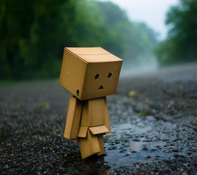 A caminhada solitária de Danbo na chuva