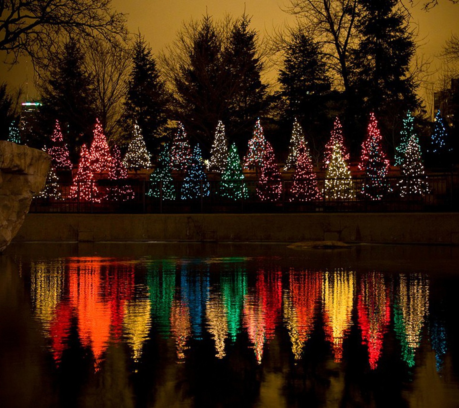 As árvores estão iluminadas com luzes coloridas e refletidas na água (árvores de natal, brilho, feriado, luzes, reflexo)