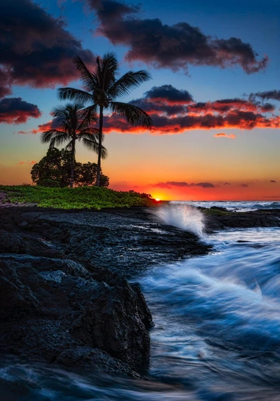 playa, atardeceres