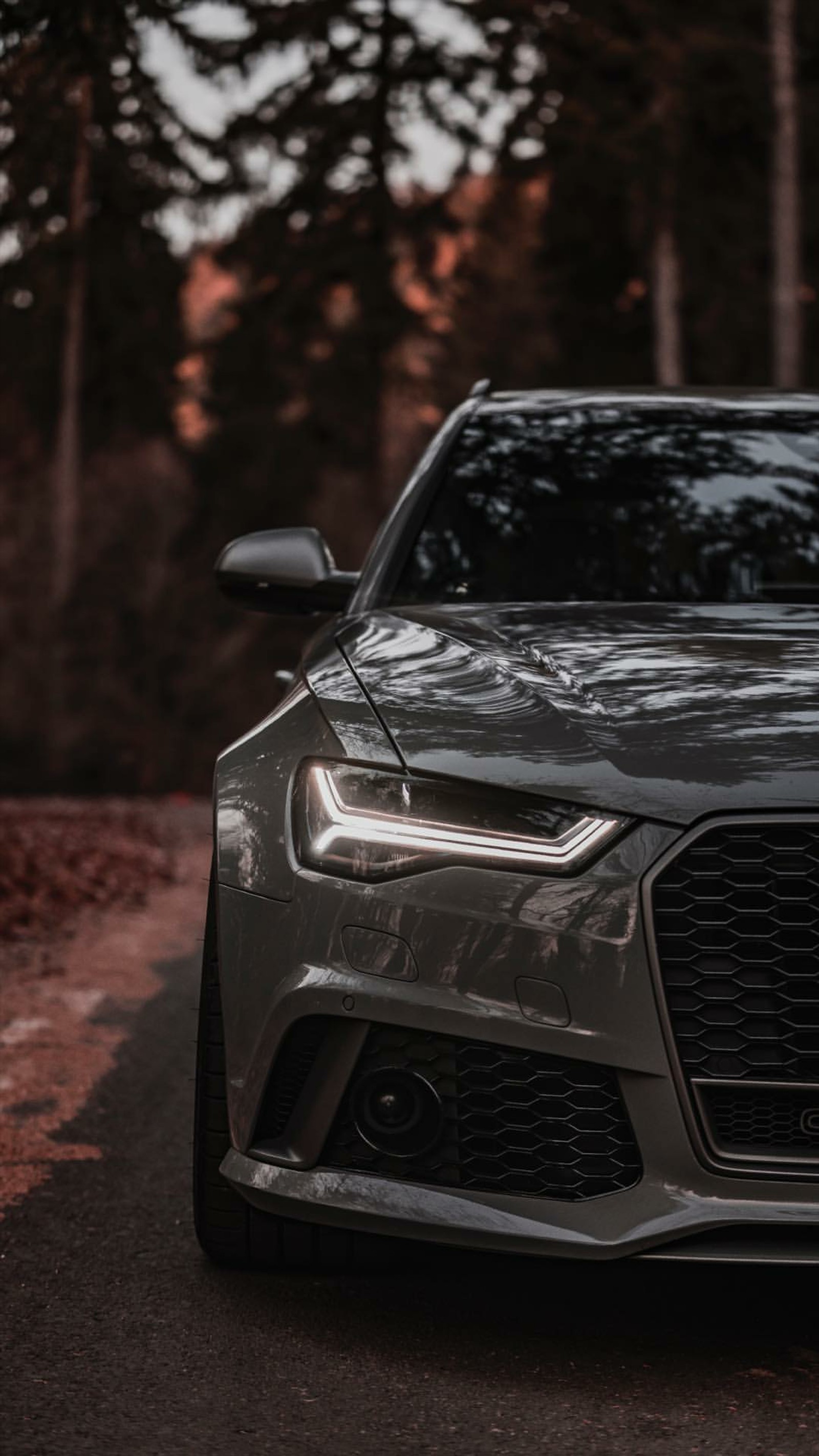 A close up of a car parked on a road near a forest (audi, rs6, grey, car, wallpaper)